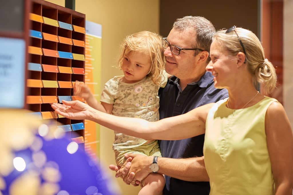 The 'Die 12' Exhibition