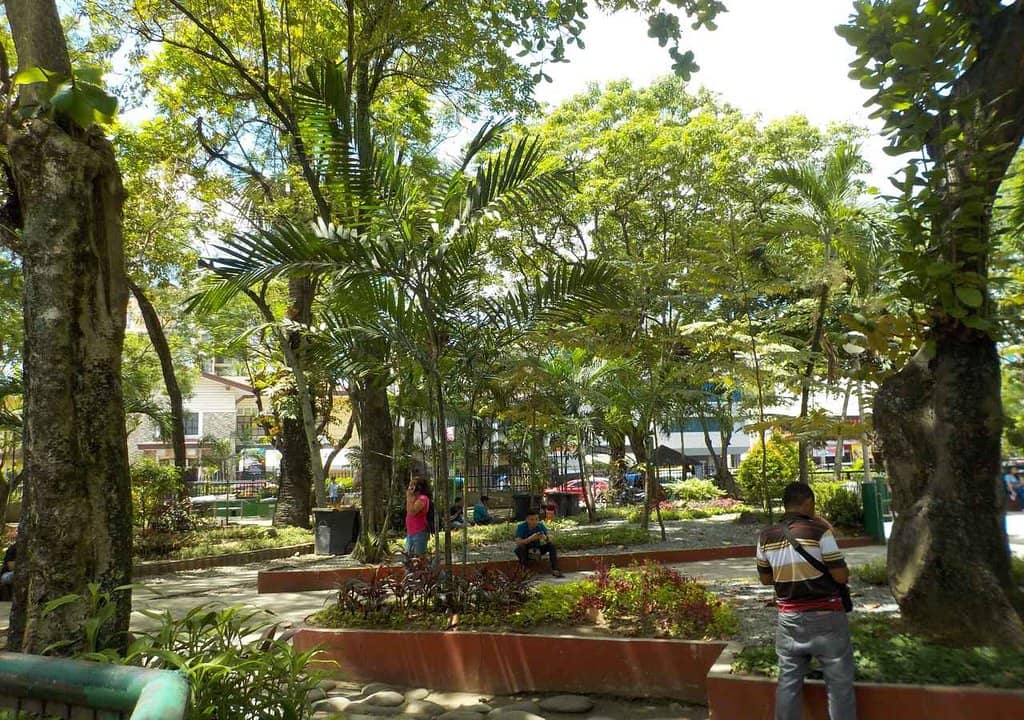 Shaded Park Benches
