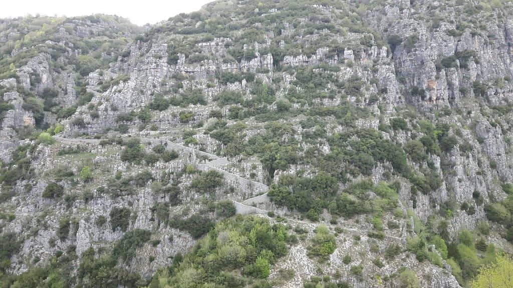 Vertical photo