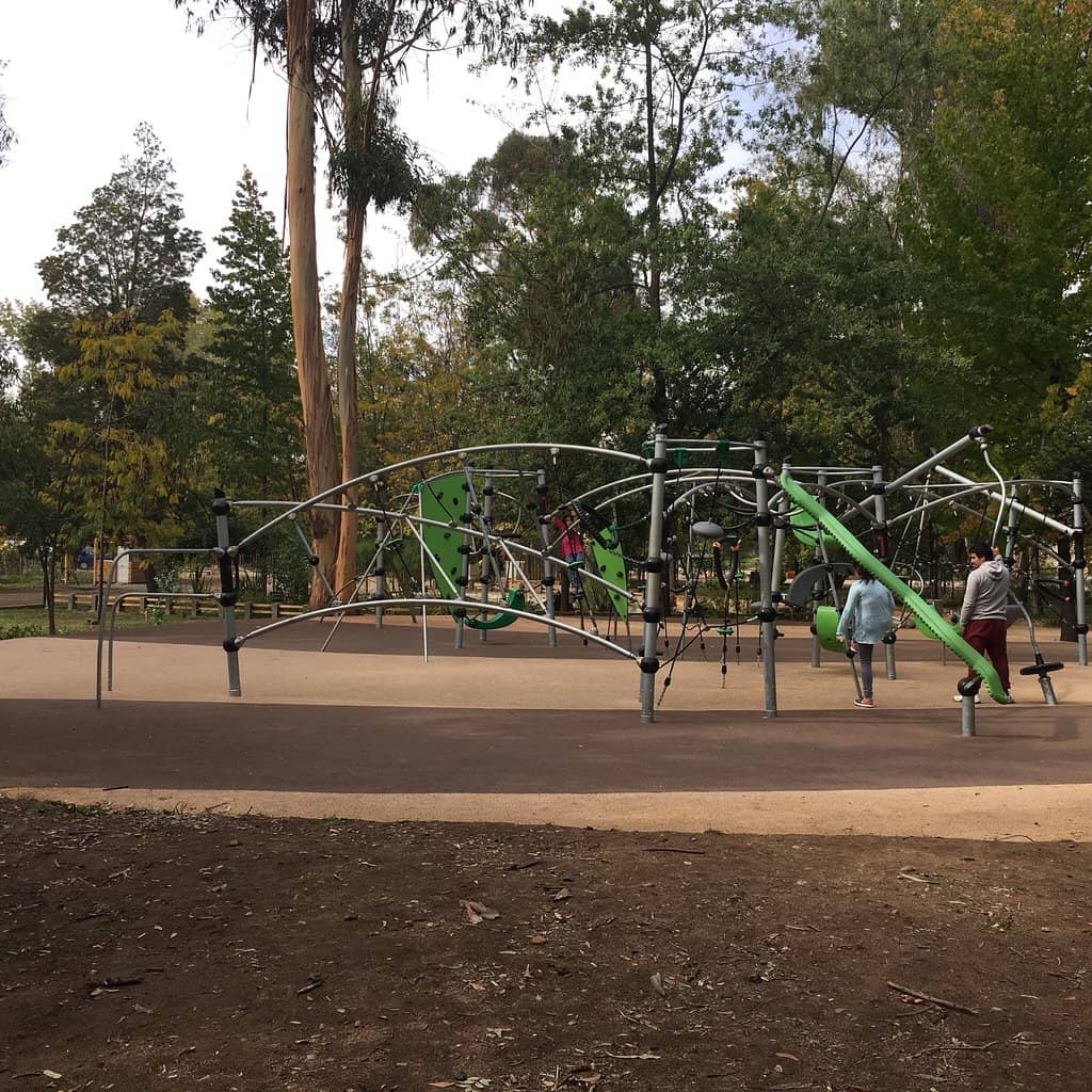 Diverse Plant Collections