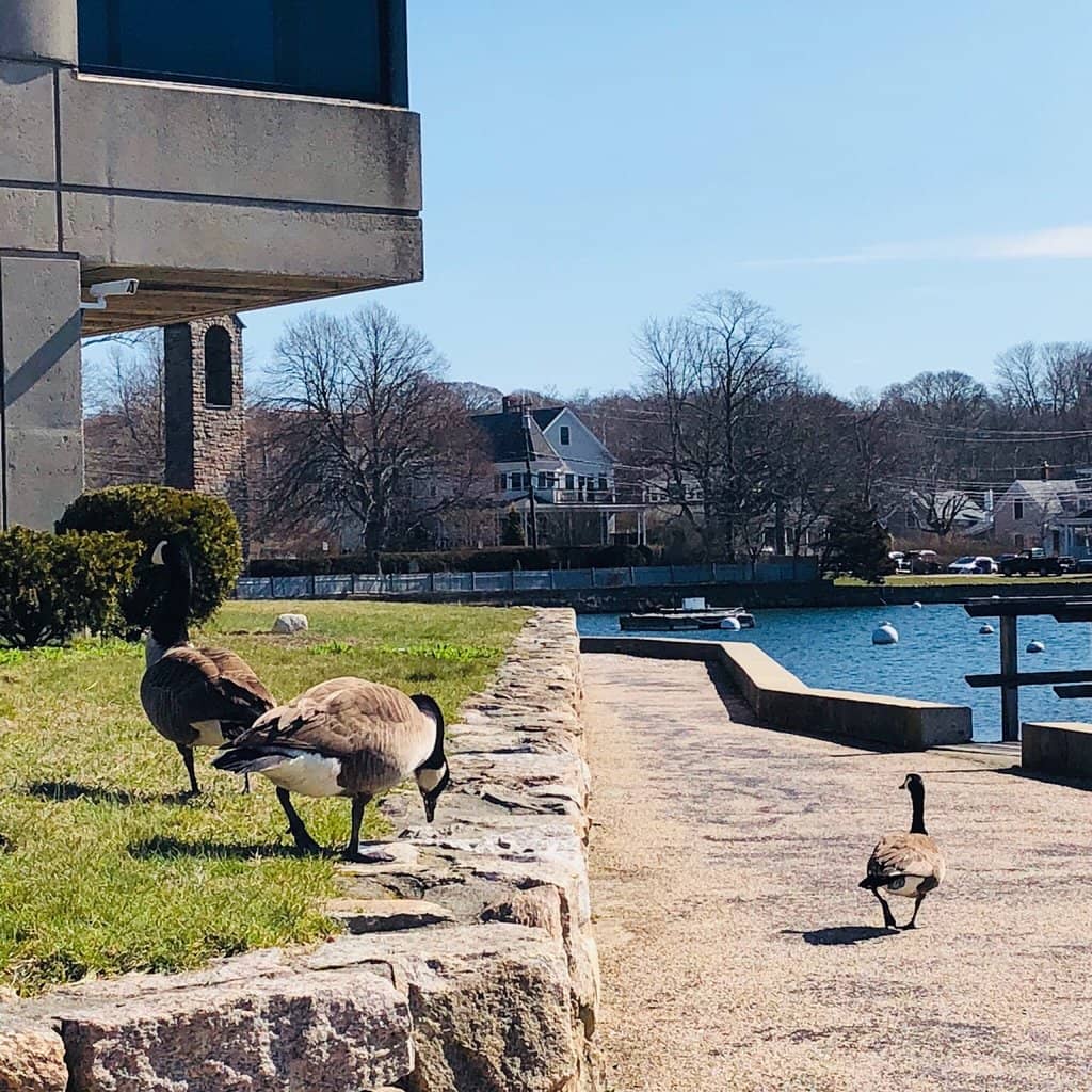 Woods Hole Oceanographic Institution (WHOI)