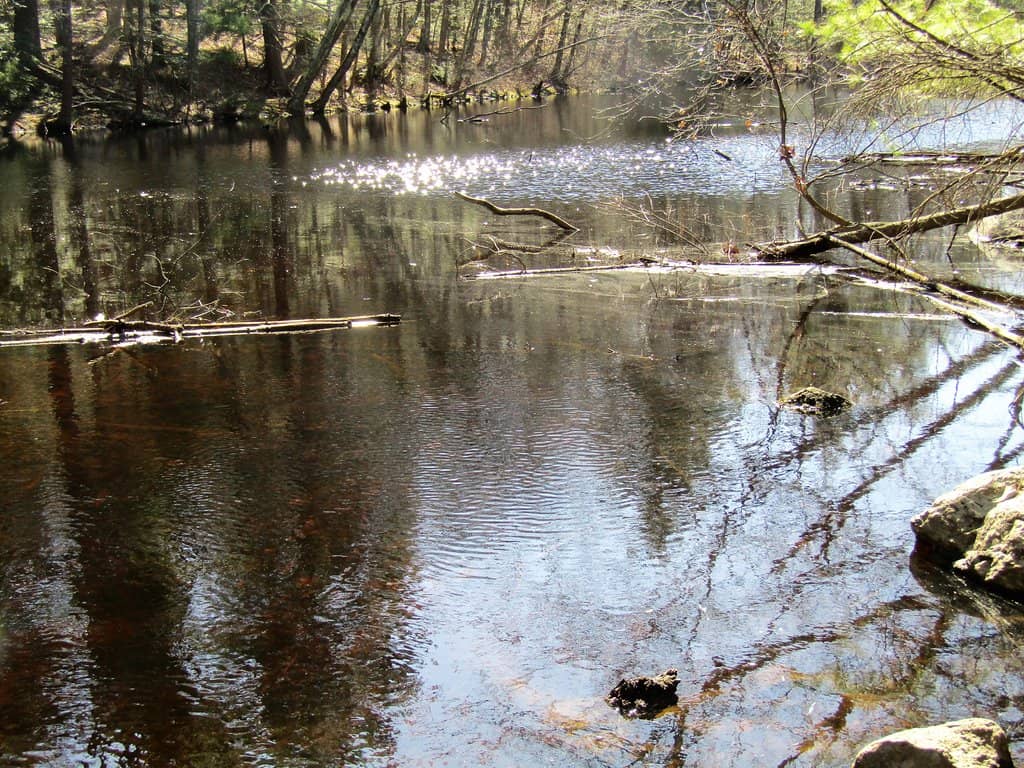 Colonial Springs Bottling Plant Ruins