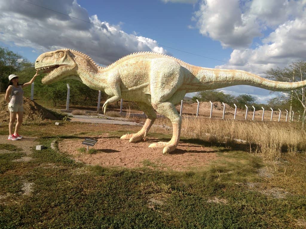 Artificial Lakes & Semi-Arid Terrain