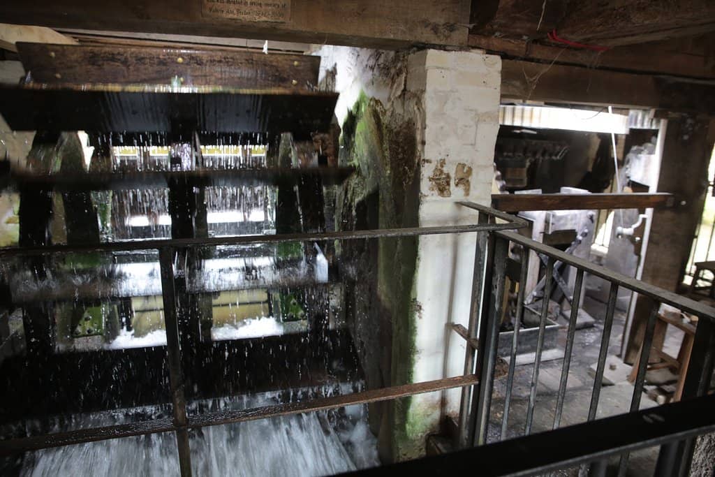 Riverside Garden & Cafe