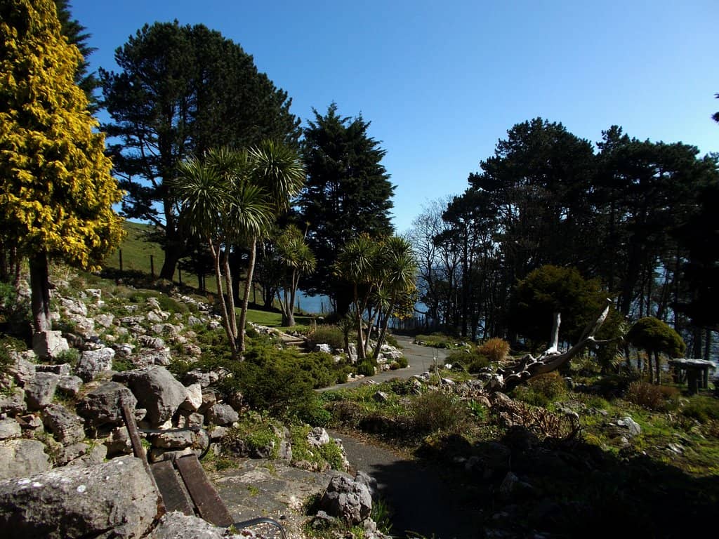 Alice in Wonderland Trail