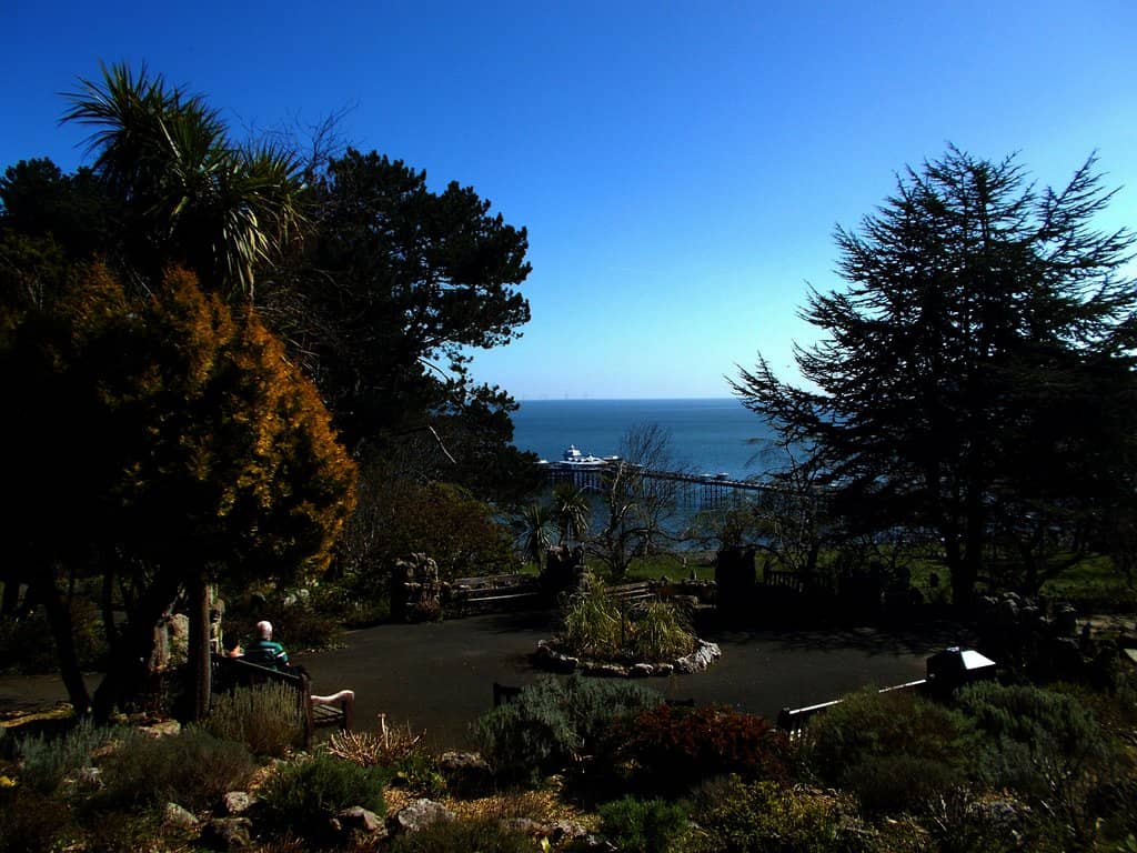 Rock Gardens & Water Features