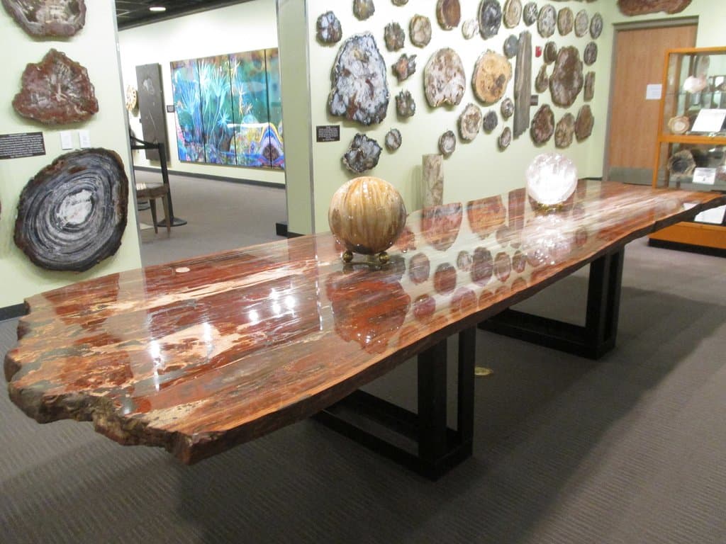 Conference room size table made from a petrified wood slab.