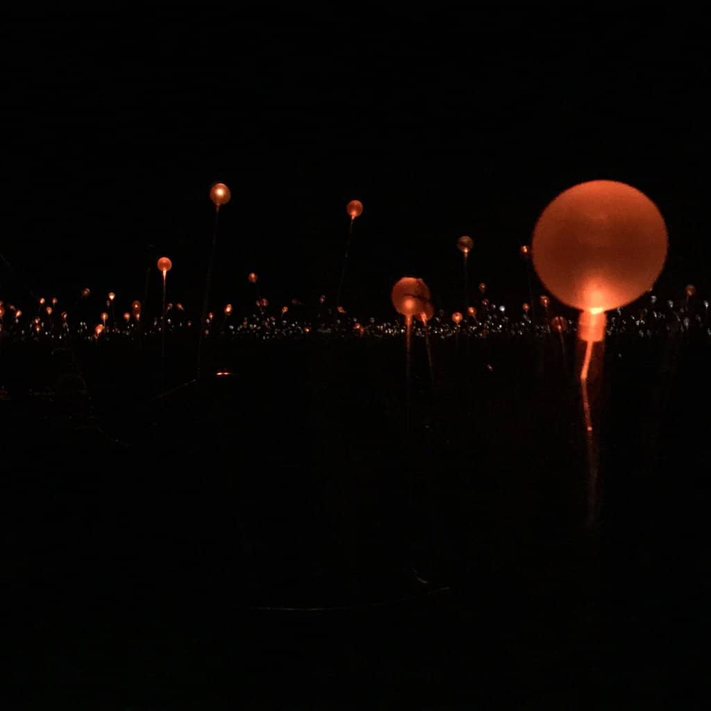 Dinner Under the Stars