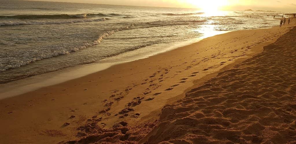 Sunset Spectacle