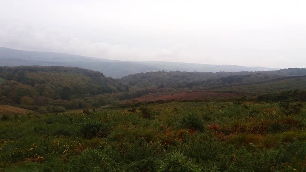 Woodland Walks
