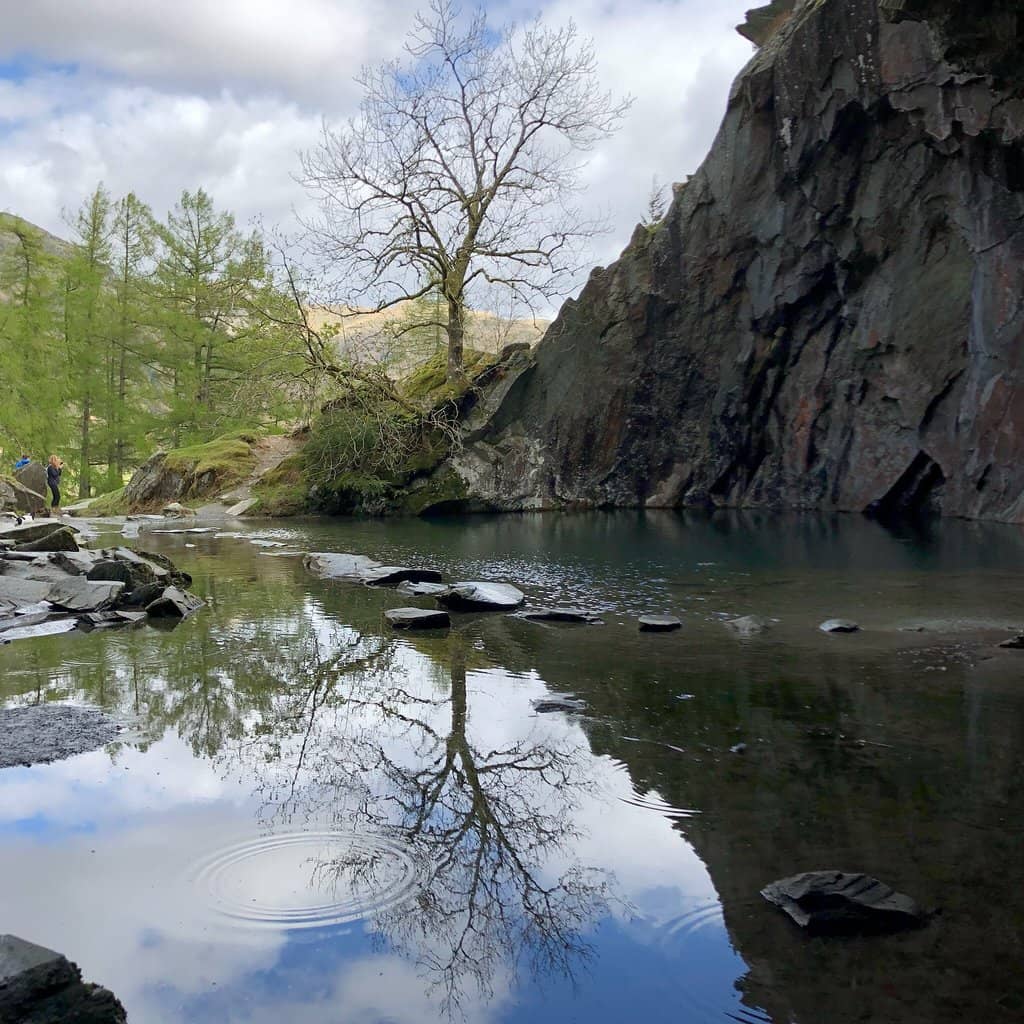 Rydal Hall Gardens
