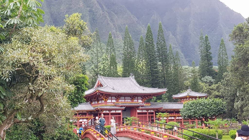 Children's Play Areas