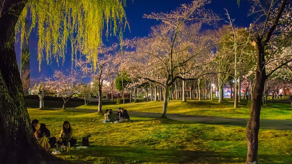 Hanami