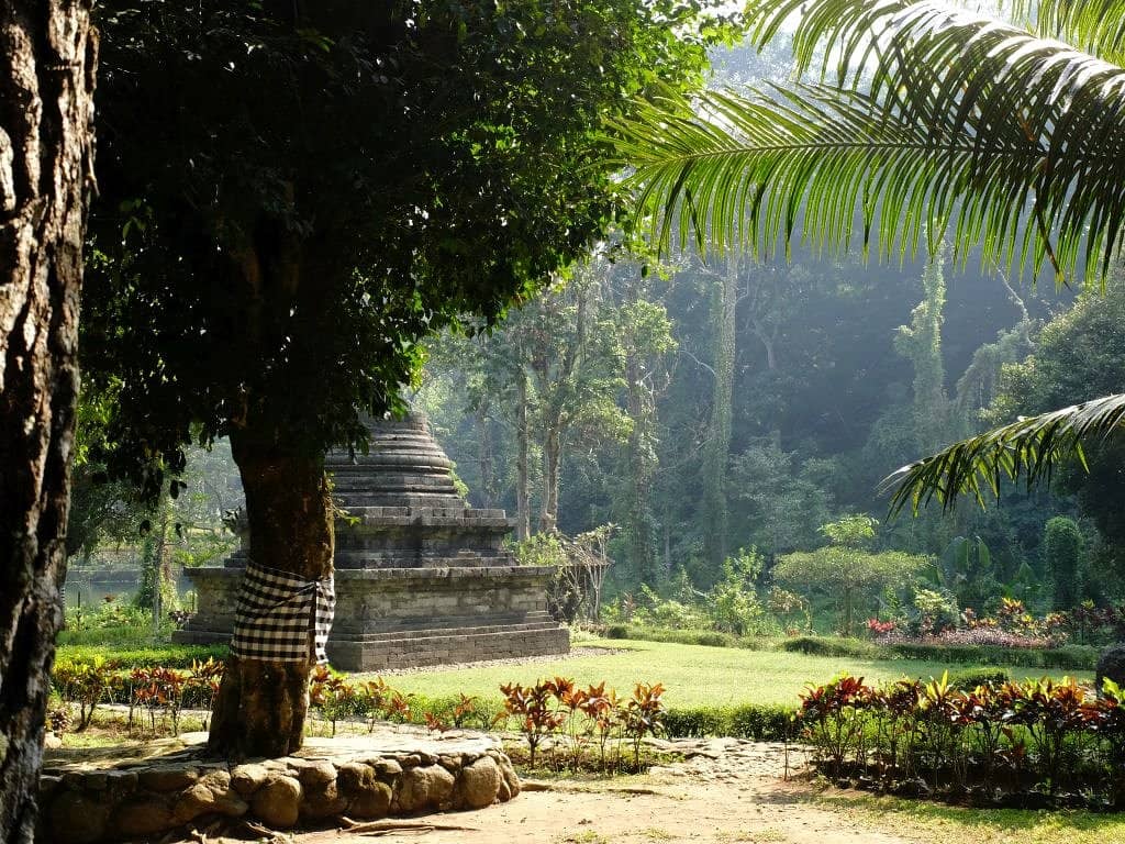 Sacred Spring