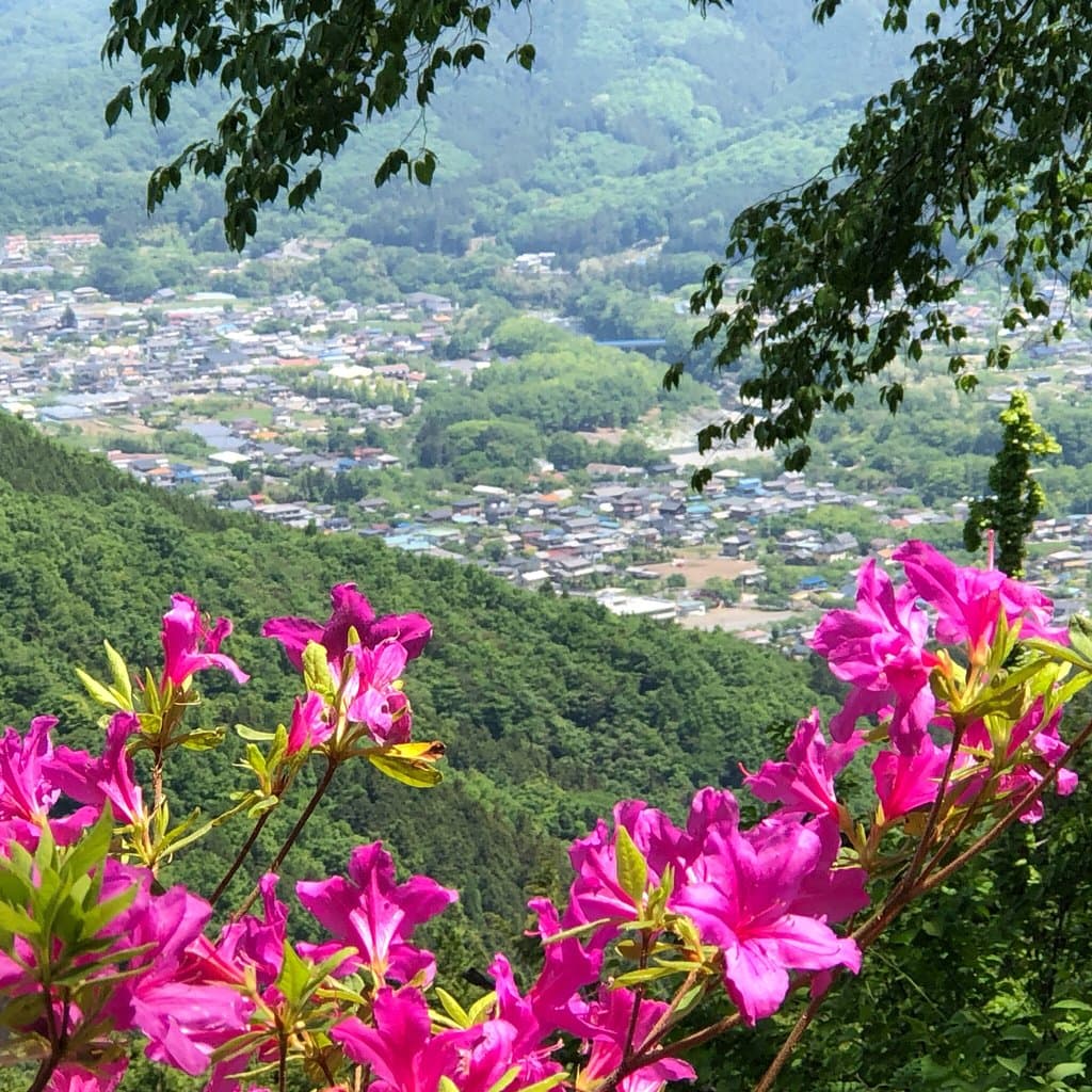 Hodosan Small Animal Park