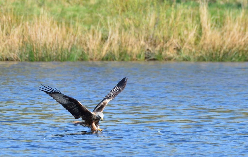 Mountain Biking Routes