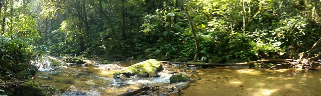 Subterranean Passages