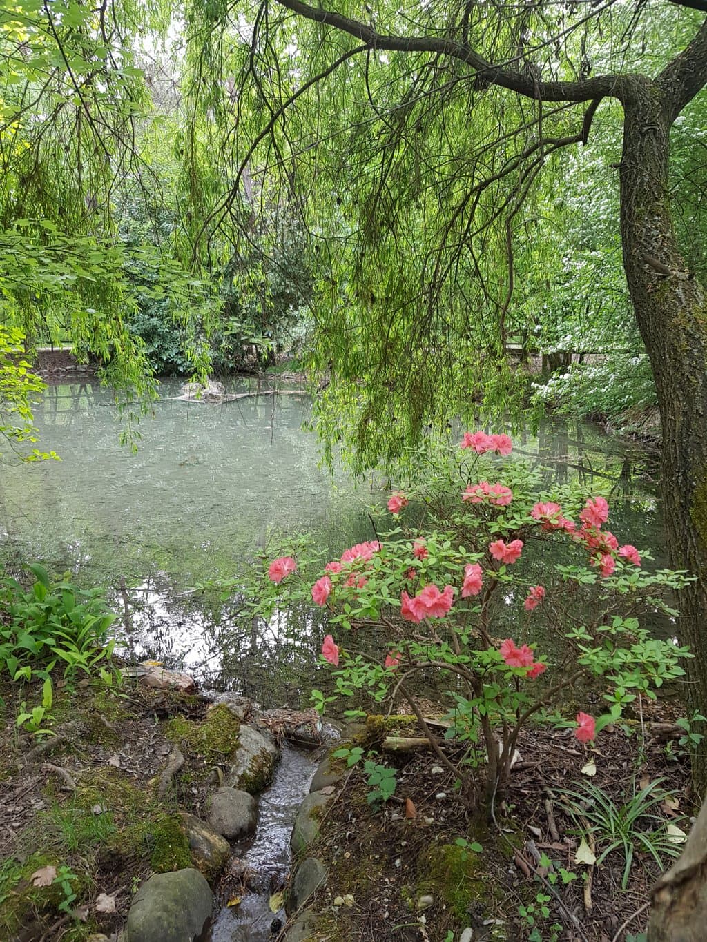 Isola dei Morti