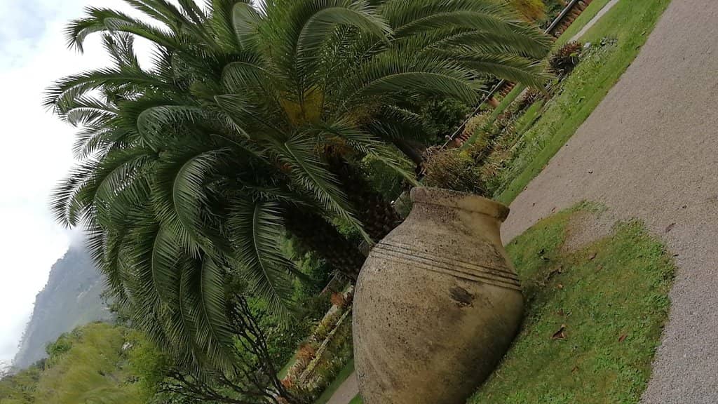 Exotic Plant Collections
