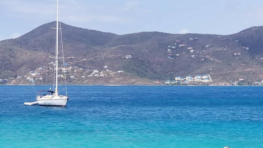 Critter Spotting on Shore