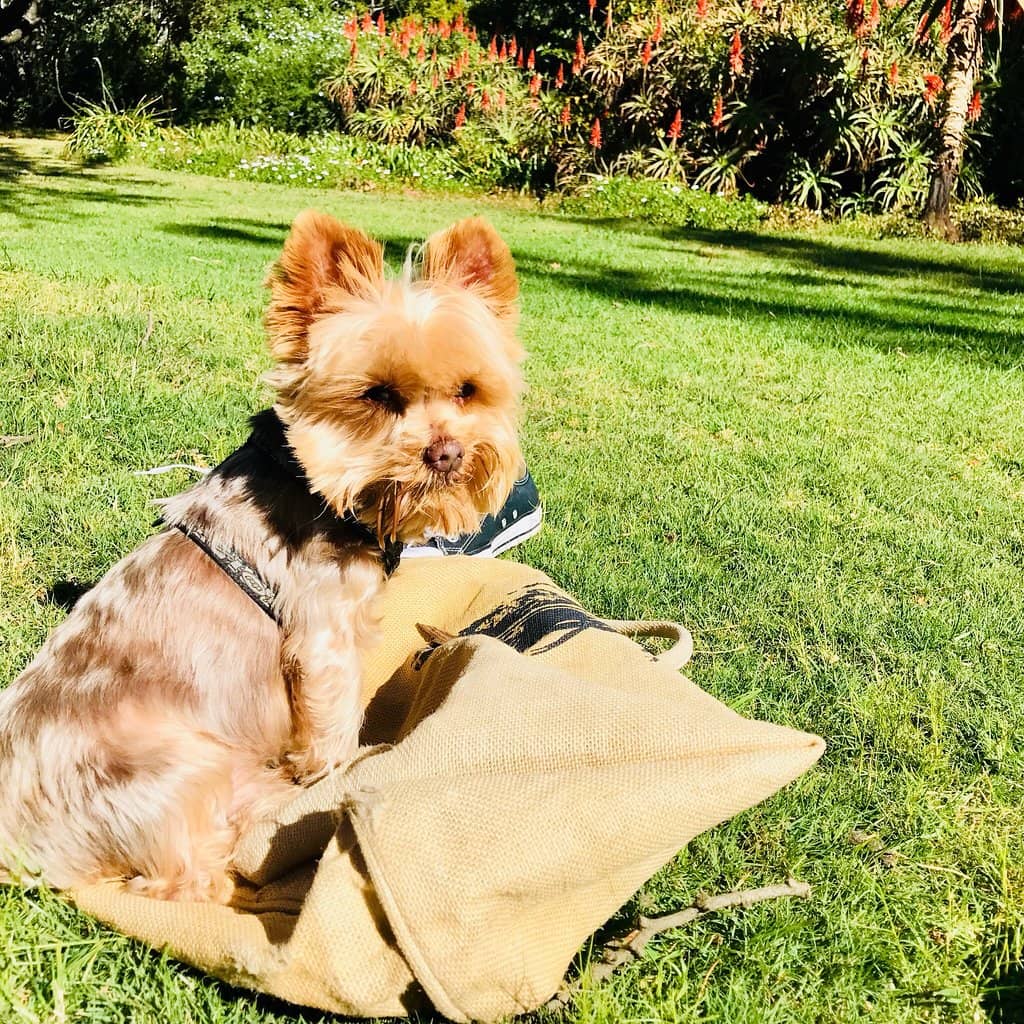 Scenic Photo Opportunities