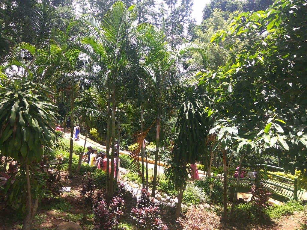A view from the top