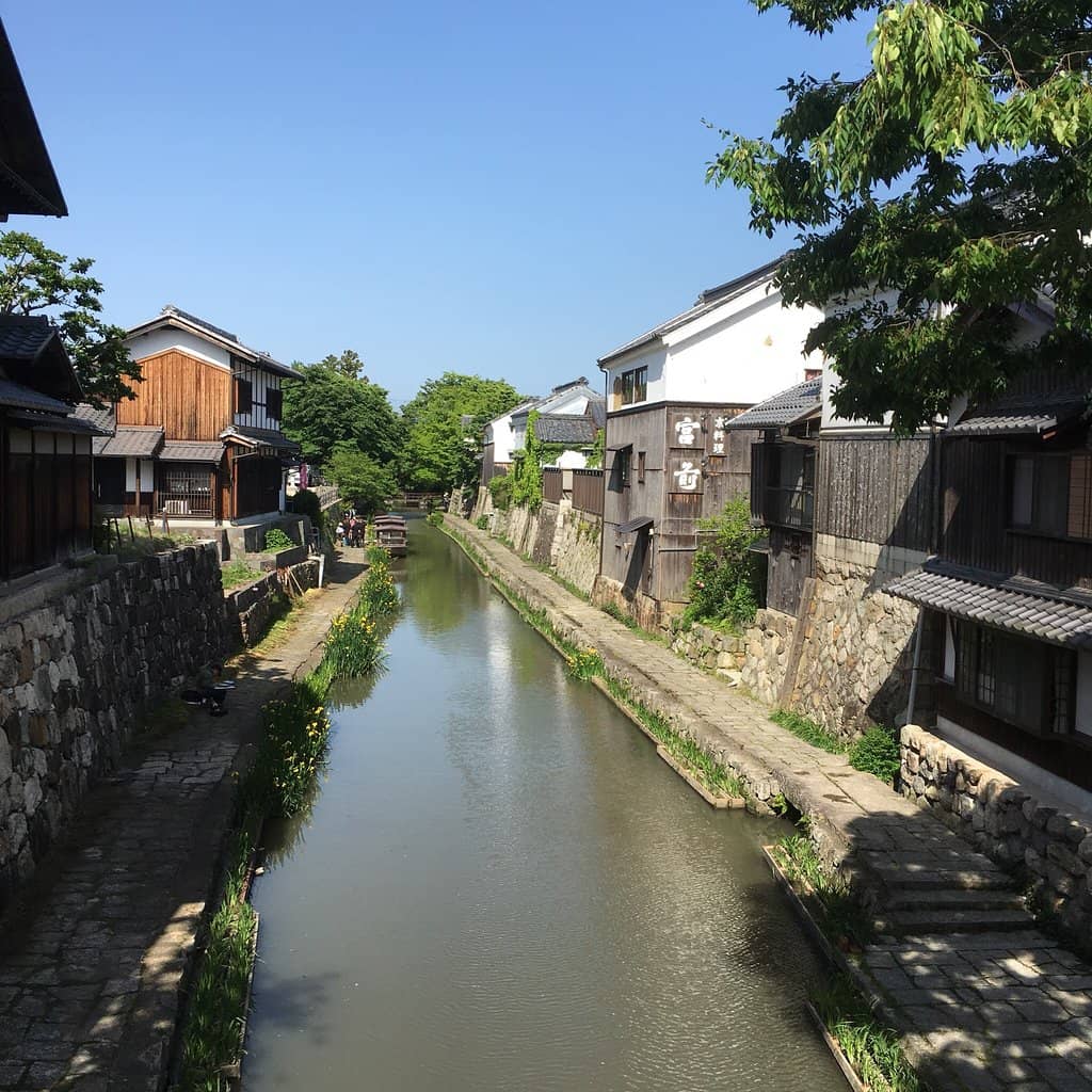 Scenic Canal-side Stroll