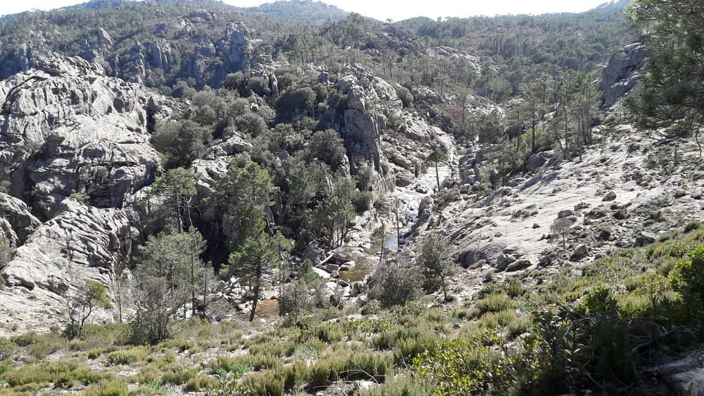 The Cascading Waterfall