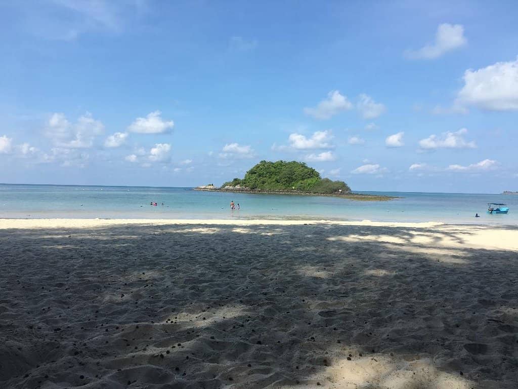 Natural Shade and Picnic Spots