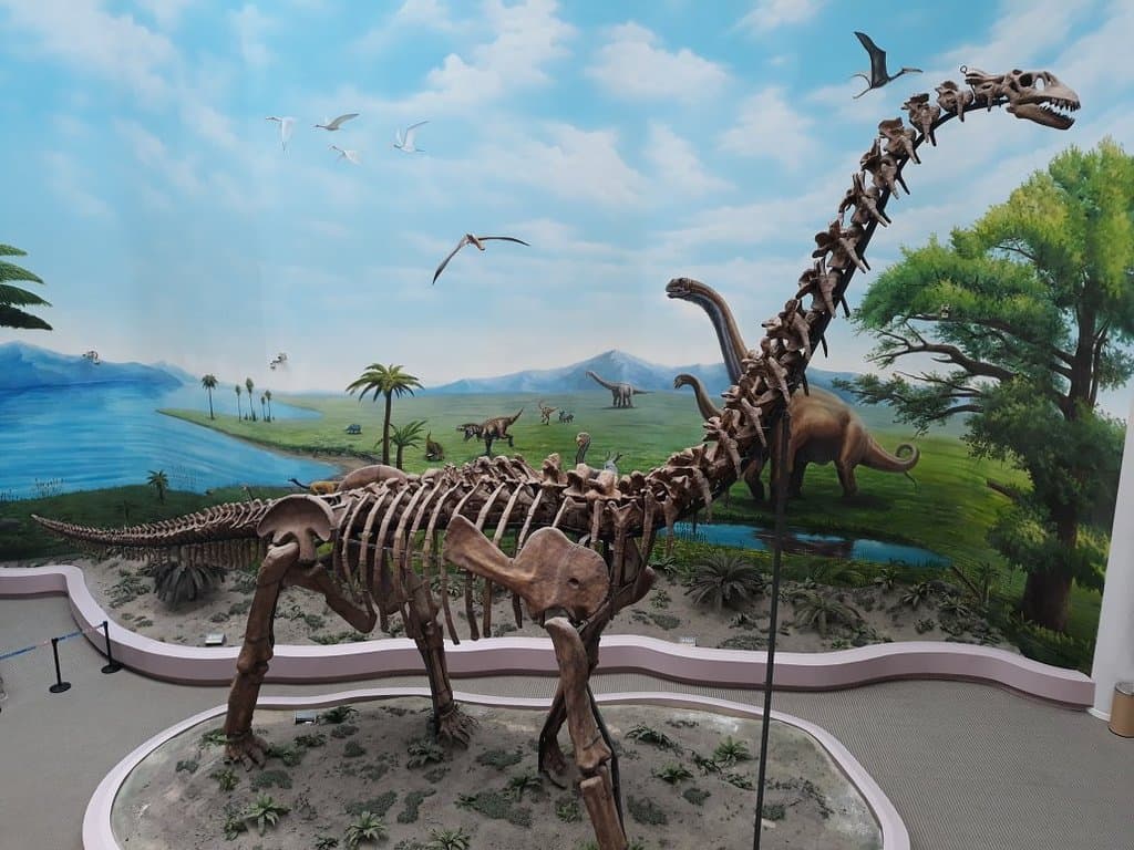 Paleontological Museum of Liaoning