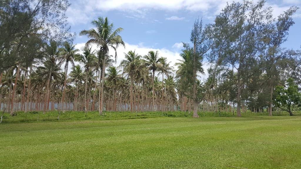 Scenic 18 Holes