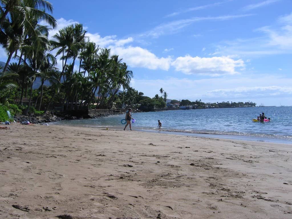 Snorkeling Opportunities