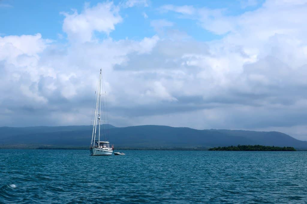 Mangrove Exploration