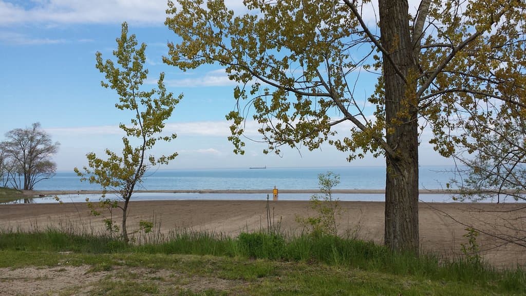 Along the lakeshore