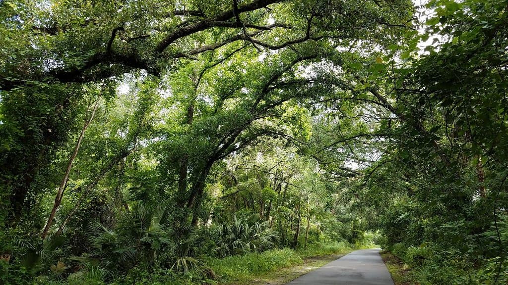 Seminole Wekiva Trail Orlando