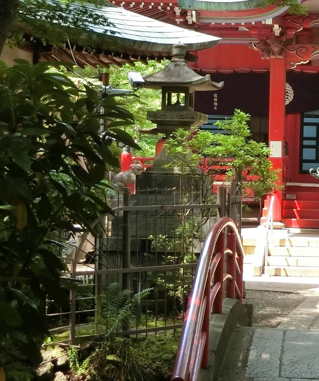 Kanda River Source Inokashira Pond