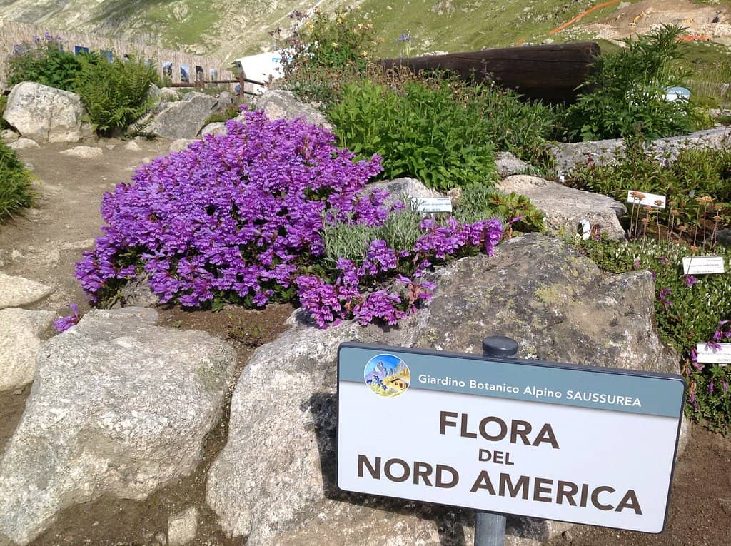 Educational Signage