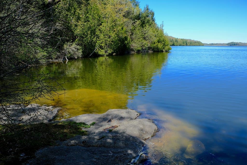 A spring day at Shelburne Pond