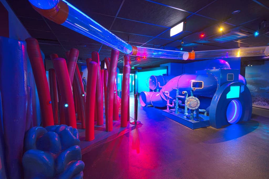 Interactive Touch Pool