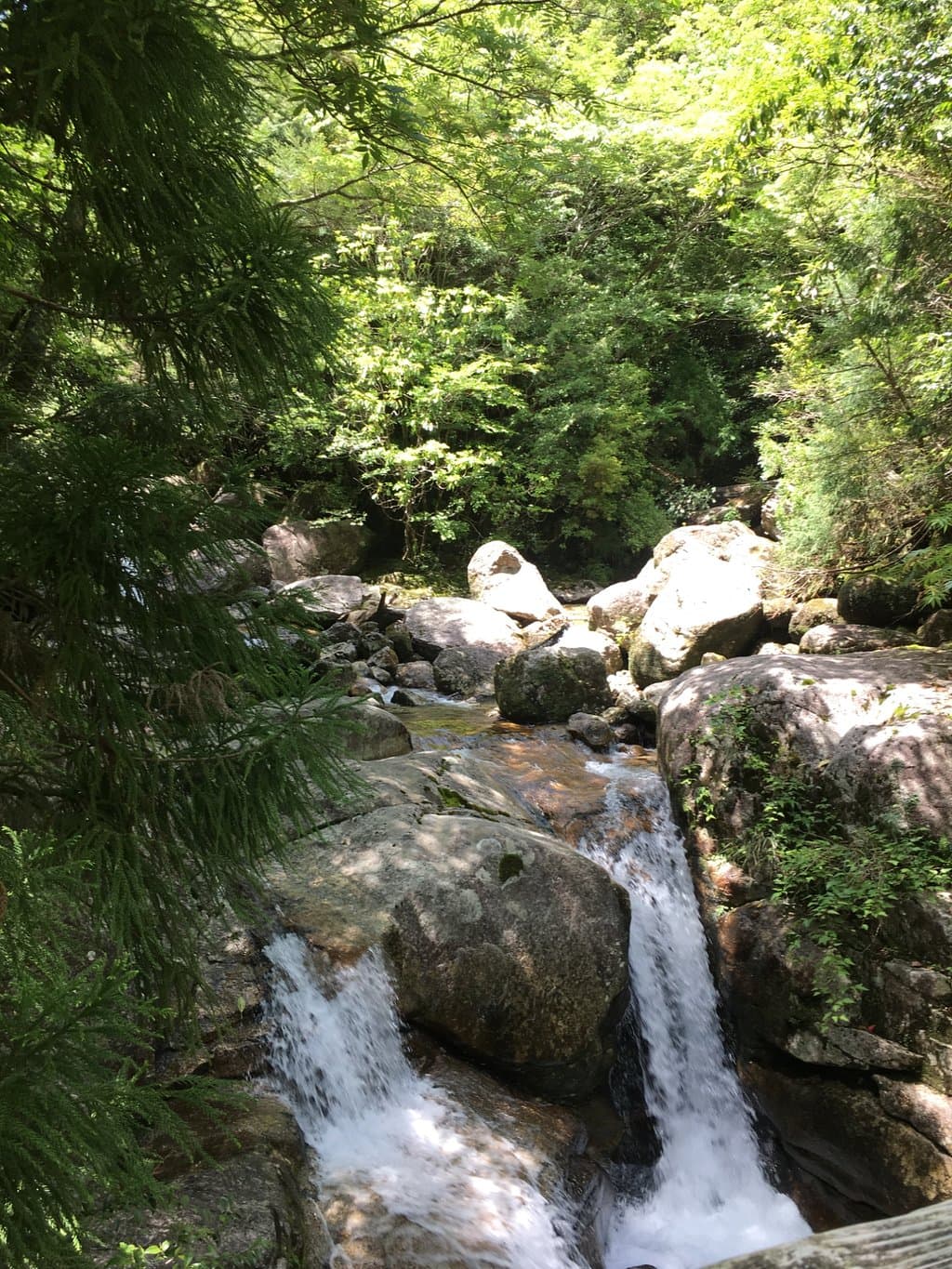 近くの湧き水