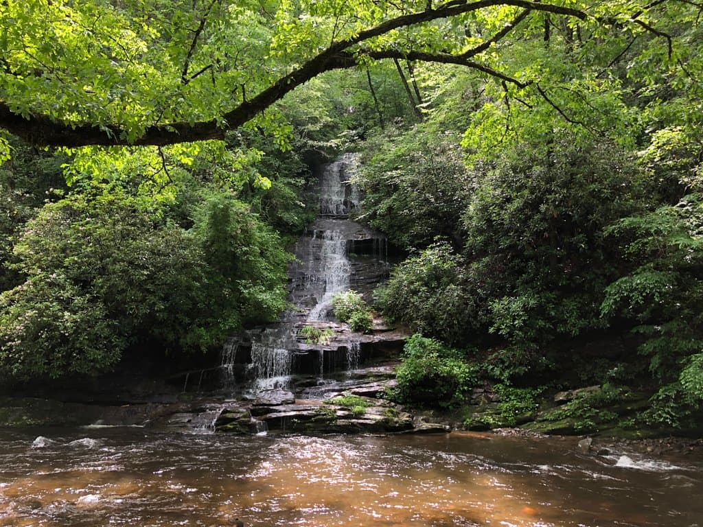 Tom Branch Fall