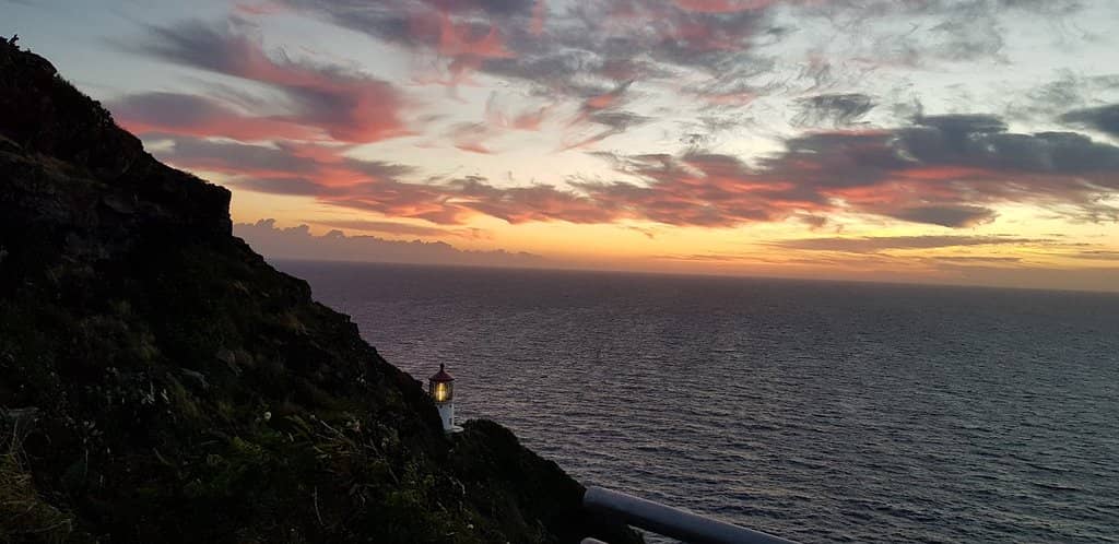 Whale Watching (Seasonal)