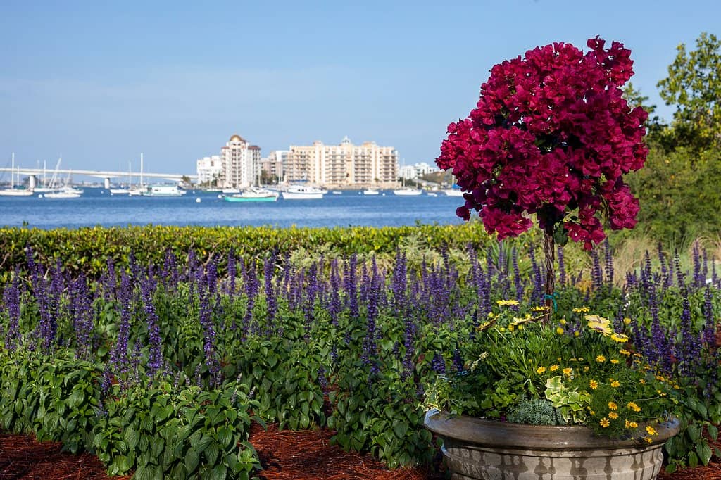 Children's Rainforest Garden