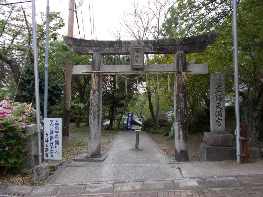 Vertical photo