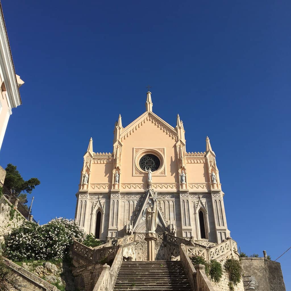 Pet Blessing Tradition