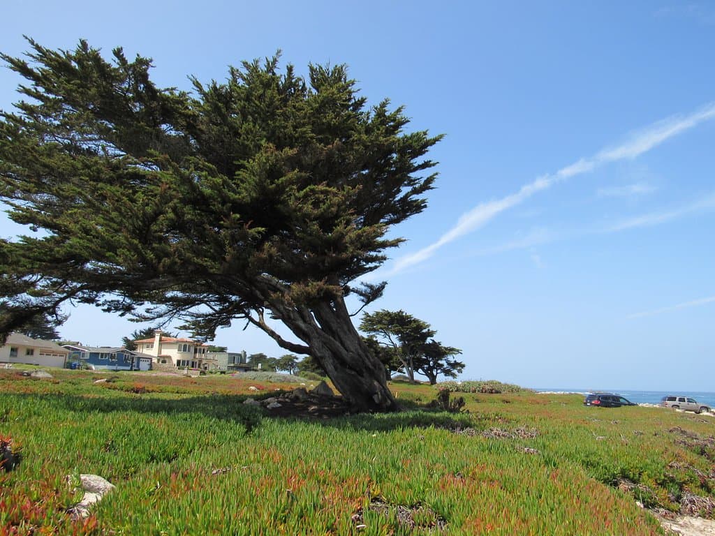 A placa fica nessa linda região