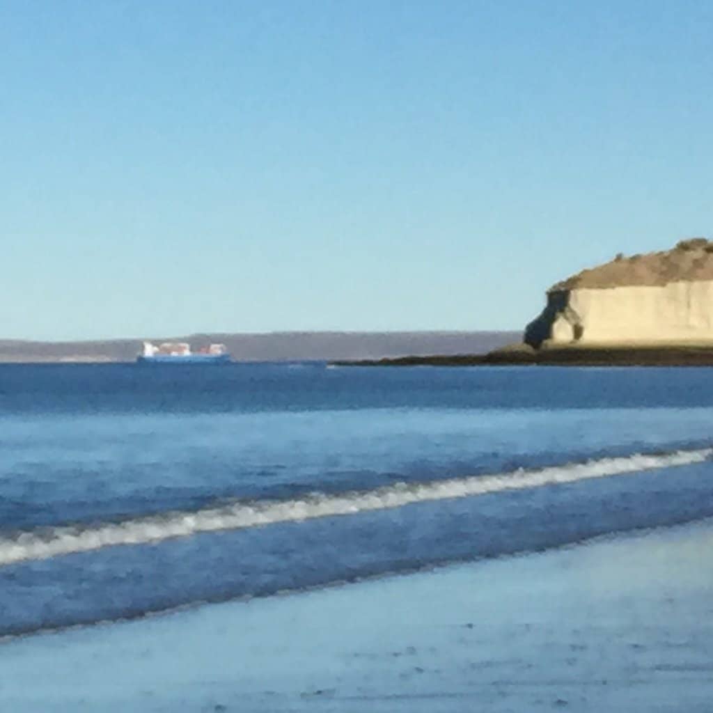 Shore-Based Whale Watching