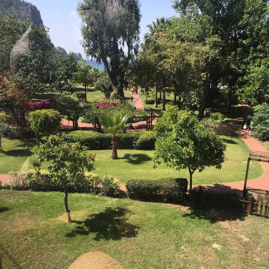 Green Oasis