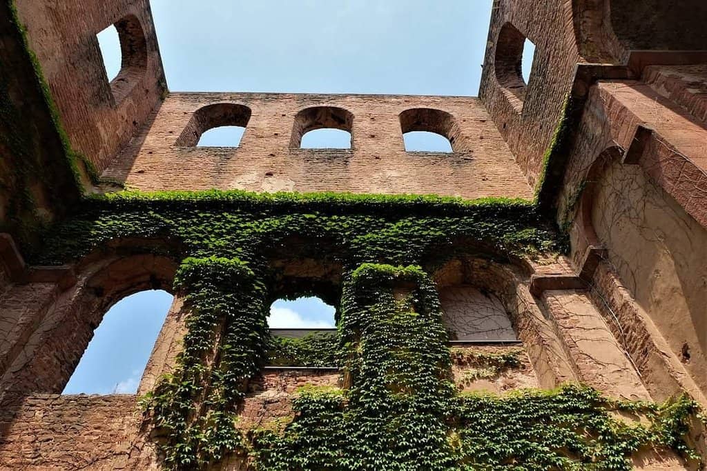 Vertical photo