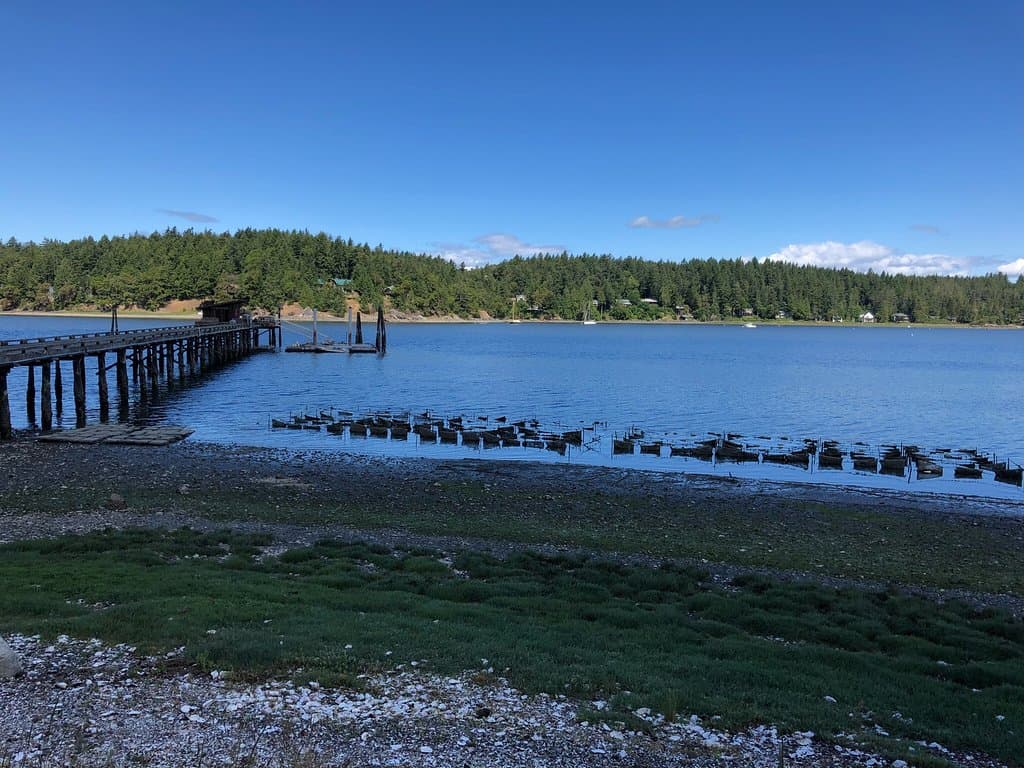 Westcott Bay Shellfish Co Friday Harbor